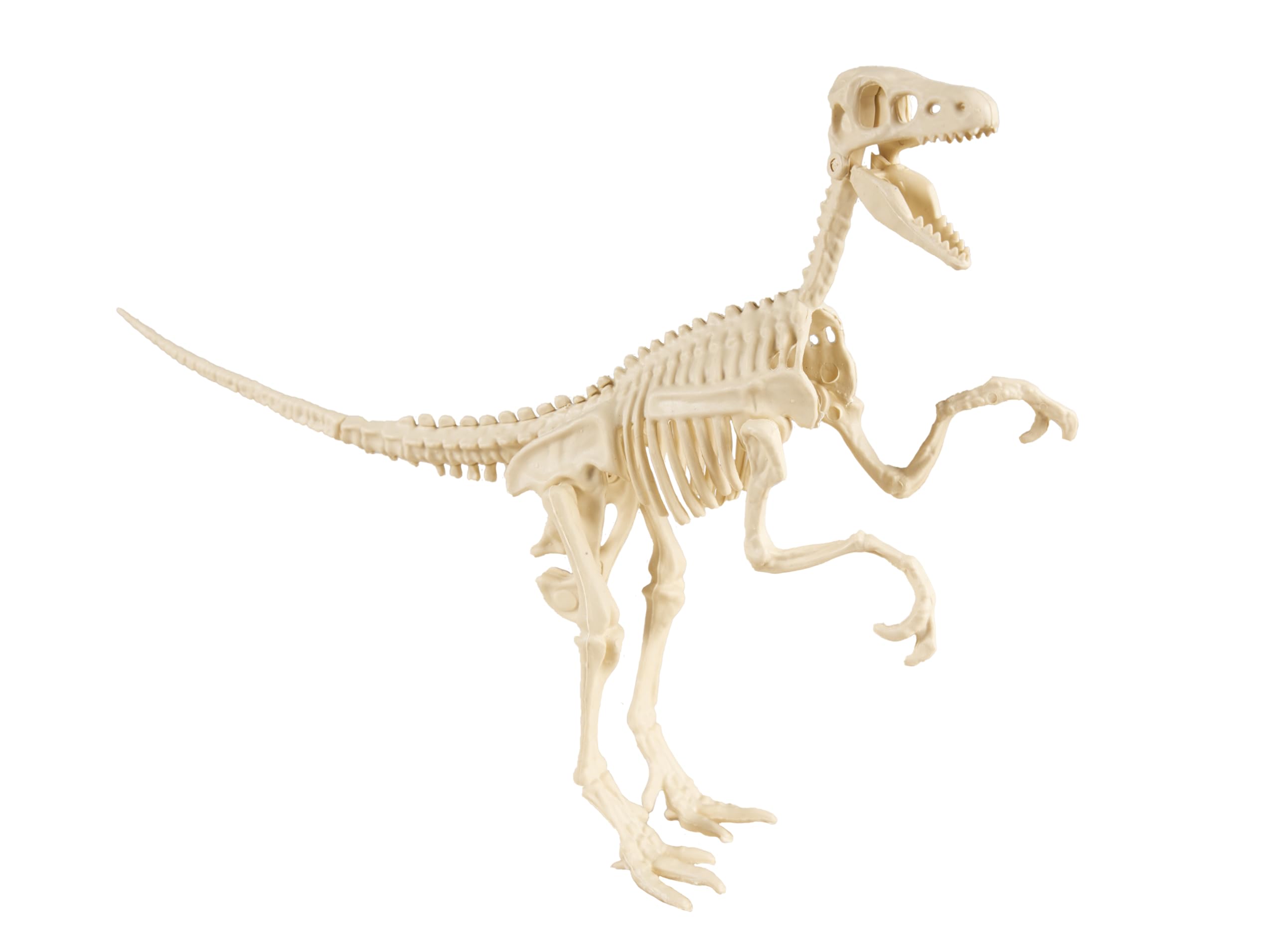 ptit-clown-dinosaurier-skelett-deko-figur-zufallsmodell image 4