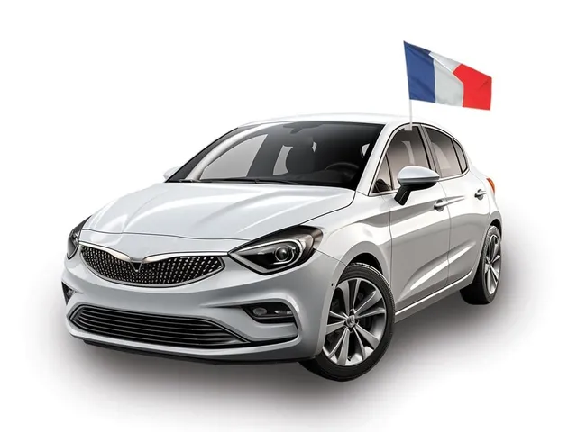 ptit-clown-autofahne-frankreich-30-x-40-cm-mit-stab-45-cm image 1