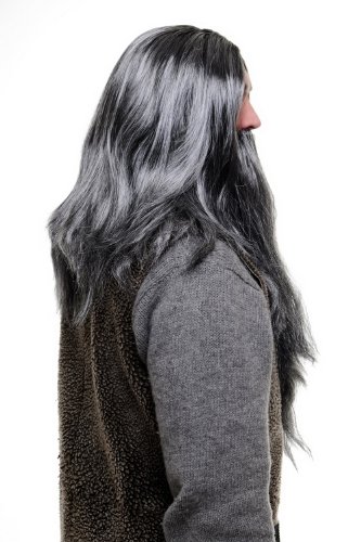 wig-me-up-pw0210-p103mpc309-per-cke-bart-set-grau-zauberer-eremit image 8