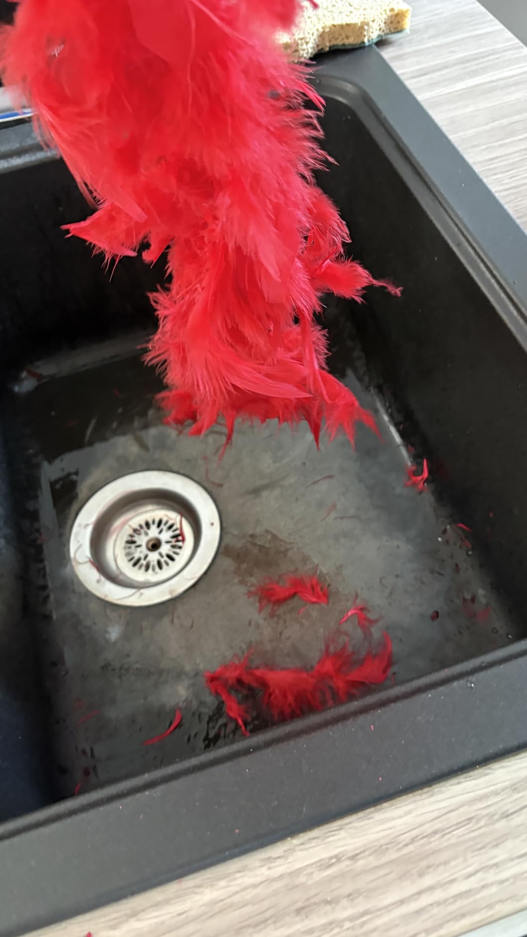 Gut, verliert etwas Federn