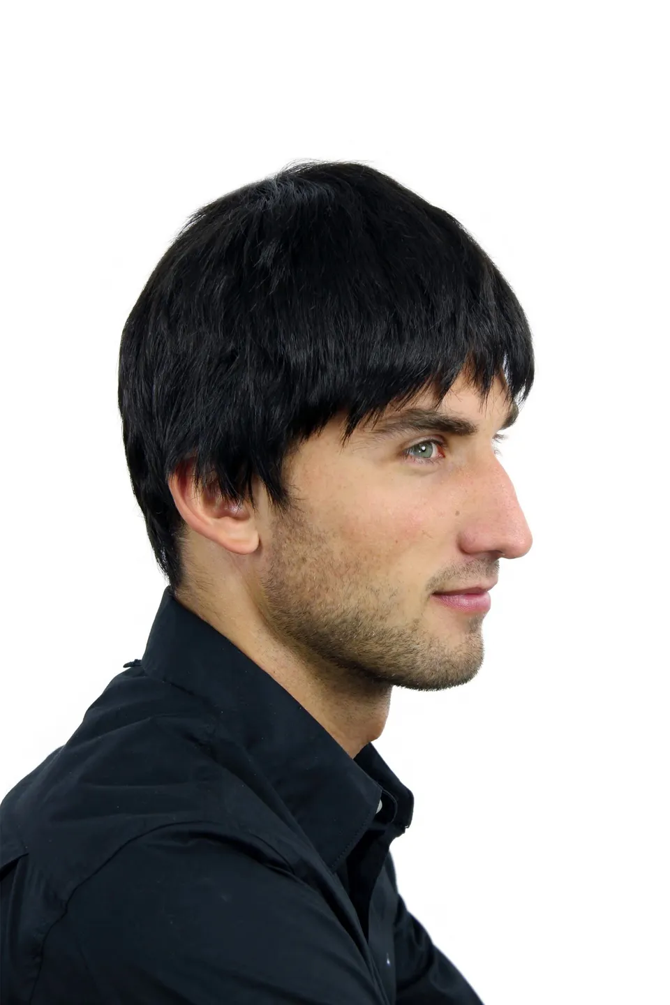 wig-me-up-wl-0204-2-herrenper-cke-kurz-schwarz-glatt-25-cm image 1
