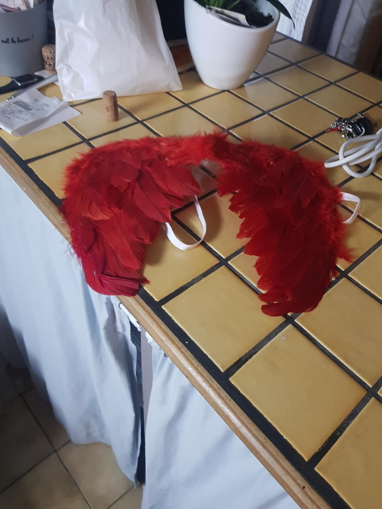 Wunderschöne Flügel