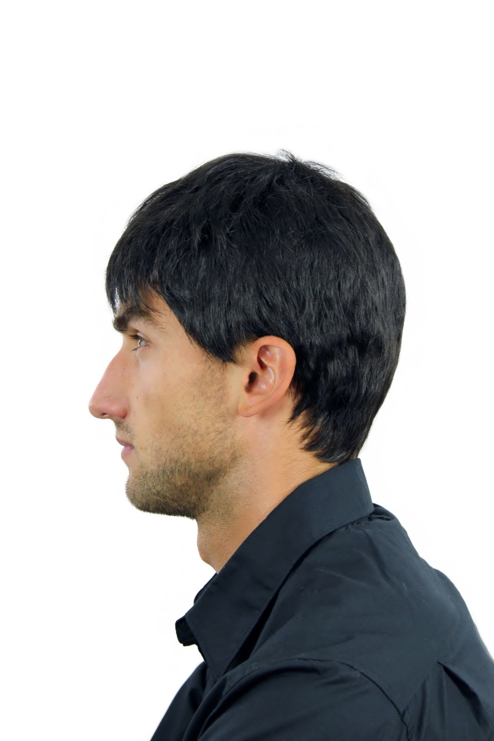 wig-me-up-wl-0204-2-herrenper-cke-kurz-schwarz-glatt-25-cm image 5