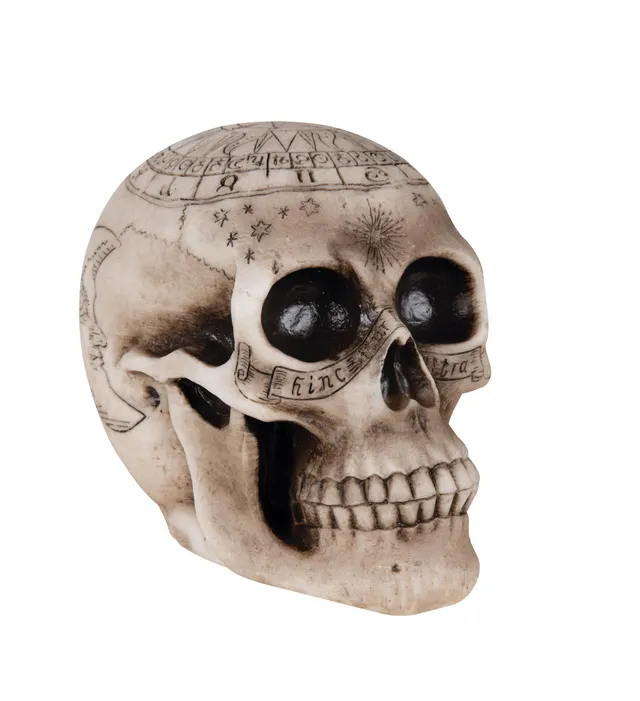 p-tit-clown-deko-totenkopf-zum-hinstellen-20-cm-creme image 1
