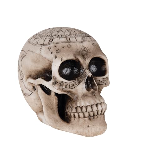 p-tit-clown-deko-totenkopf-zum-hinstellen-20-cm-creme image 5