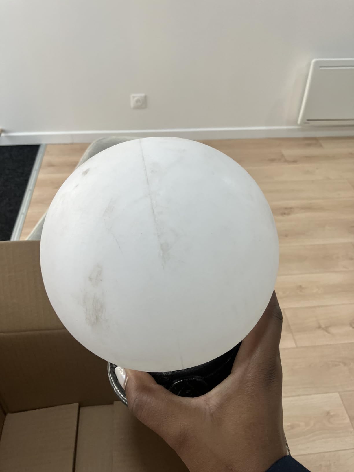 Kinder lieben sie