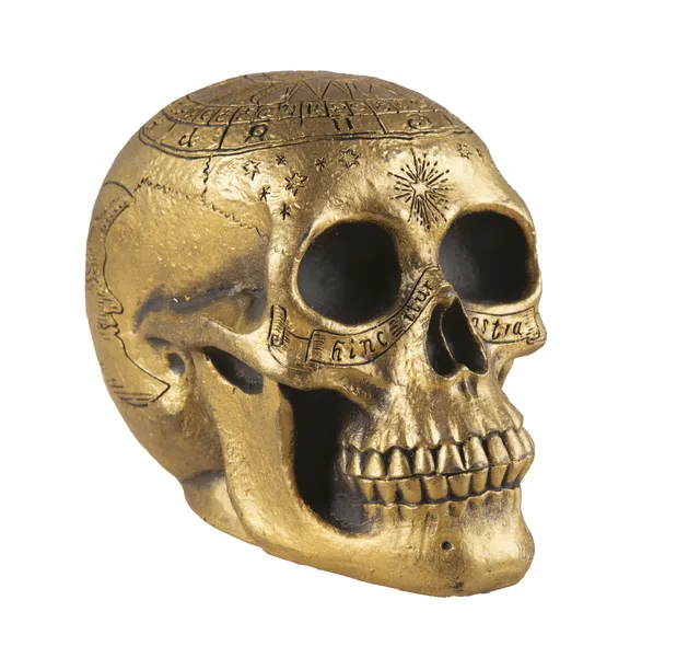 p-tit-clown-re23012-skelett-sch-del-gold-verziert-20-cm image 1