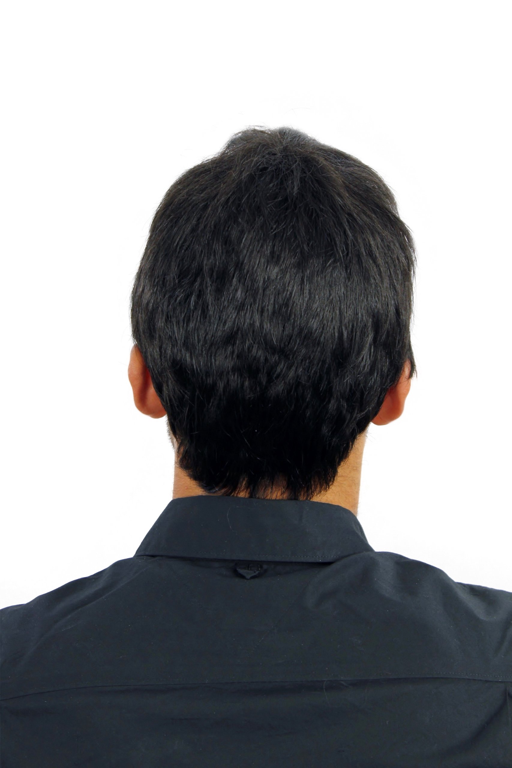 wig-me-up-wl-0204-2-herrenper-cke-kurz-schwarz-glatt-25-cm image 2