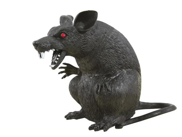 p-tit-clown-44040-besessene-ratte-schwarz-kunststoff-halloween-deko image 1