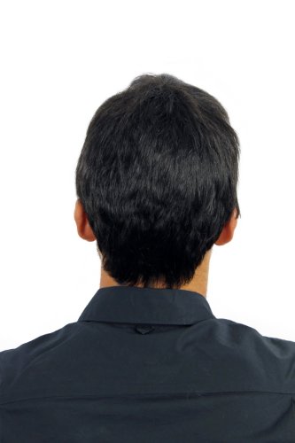 wig-me-up-wl-0204-2-herrenper-cke-kurz-schwarz-glatt-25-cm image 8