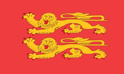 ptit-clown-normandie-flagge-aus-stoff-90-x-150-cm image 4
