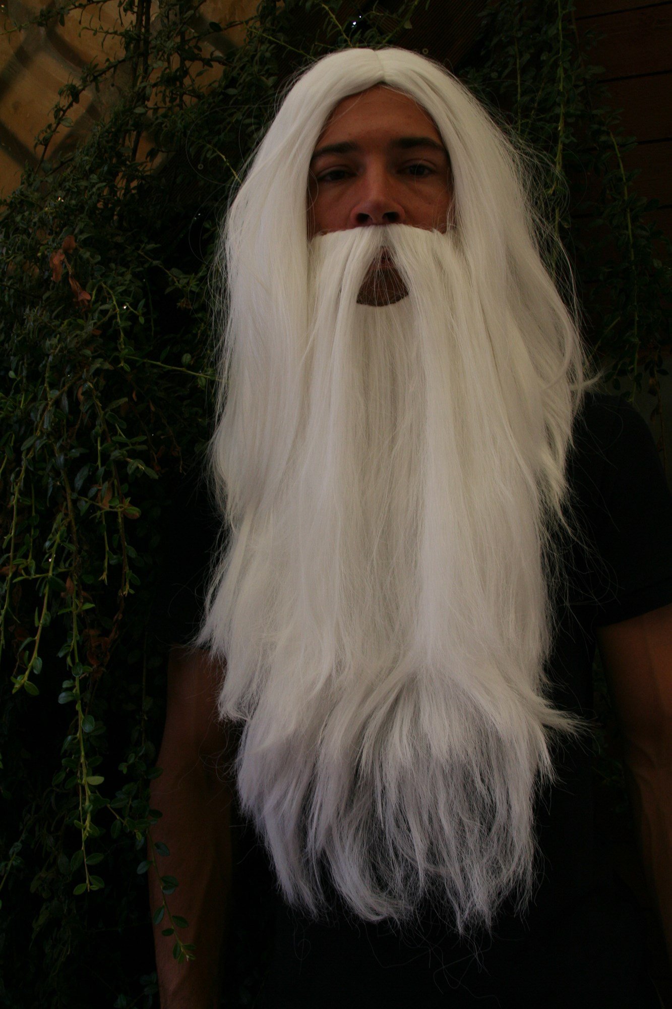 wig-me-up-pw0210-p60-per-cke-bart-set-wei-er-zauberer image 3