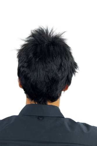 wig-me-up-wl-3041-1-herrenper-cke-kurz-wild-schwarz-25-cm image 7