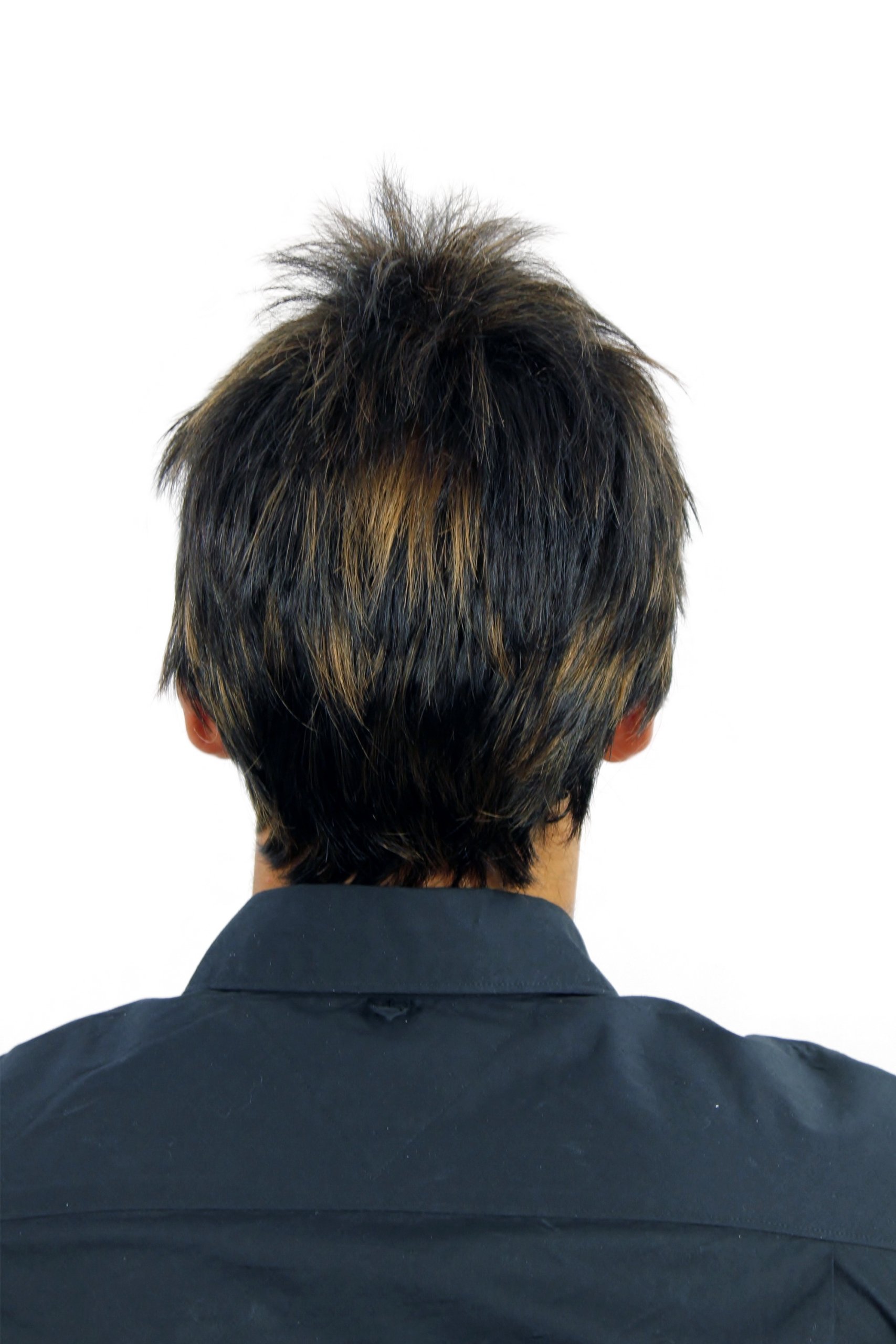 wig-me-up-wl-3059-2h27-herrenper-cke-wild-schwarzbraun-blond-gestr-hnt-25-cm image 4