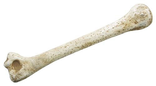 ptit-clown-pr-historischer-h-hlenknochen-28-cm-kost-m-accessoire image 4