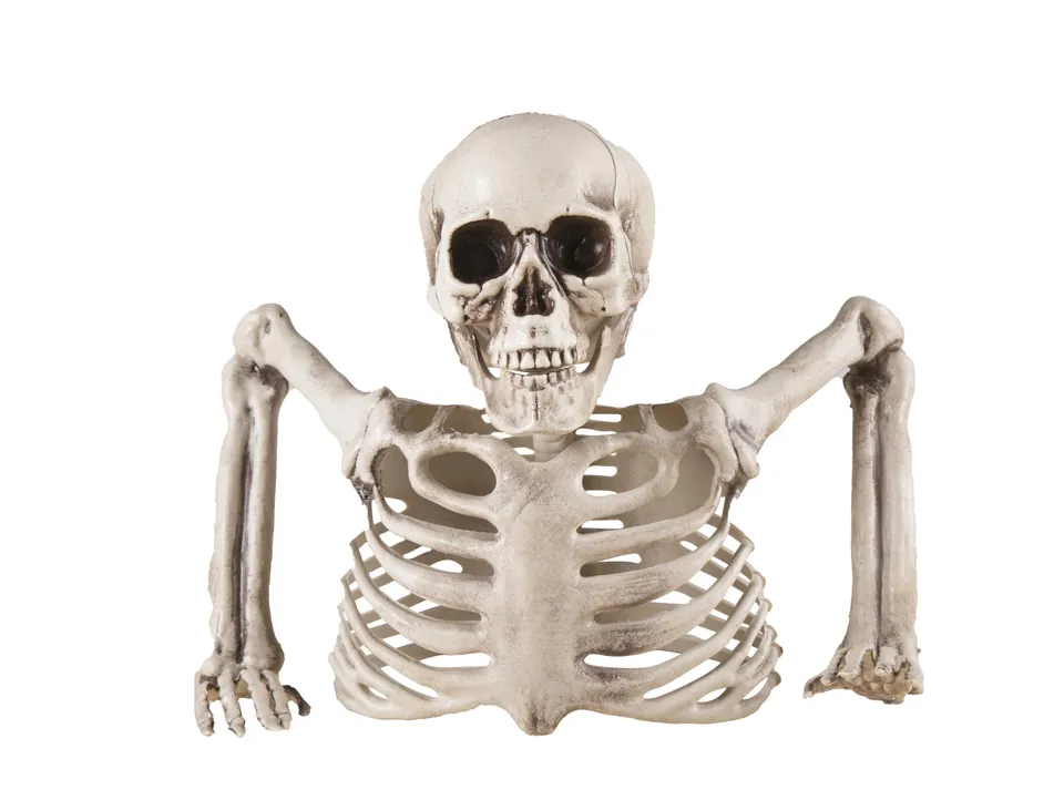 p-tit-clown-halloween-skelett-deko-kunststoff-realistisch image 1